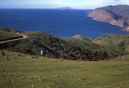 04 Looking north to Kapiti Island from Makara hills.jpg